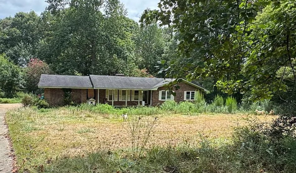 Brick ranch home set back on a large overgrown lot
